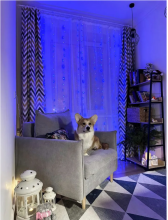 Гирлянда занавес светодиодная Роса 3*3м (Синий)