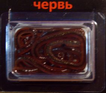 Насадка рыболовная полимерно-белковая