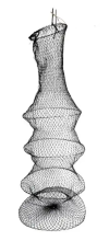 44