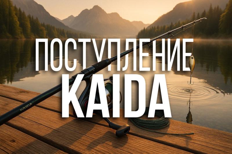 Поступление Kaida