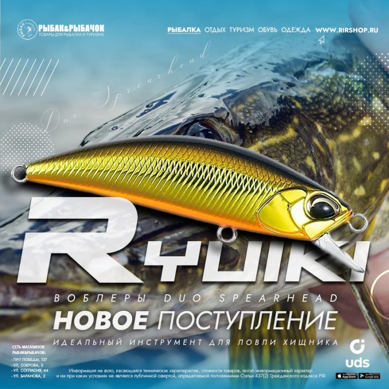 Поступление DUO