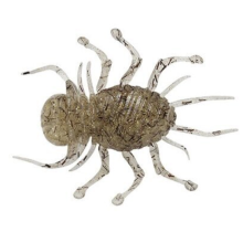 Приманка силиконовая Duo Realis Ninmushi 38мм 5г (F603)