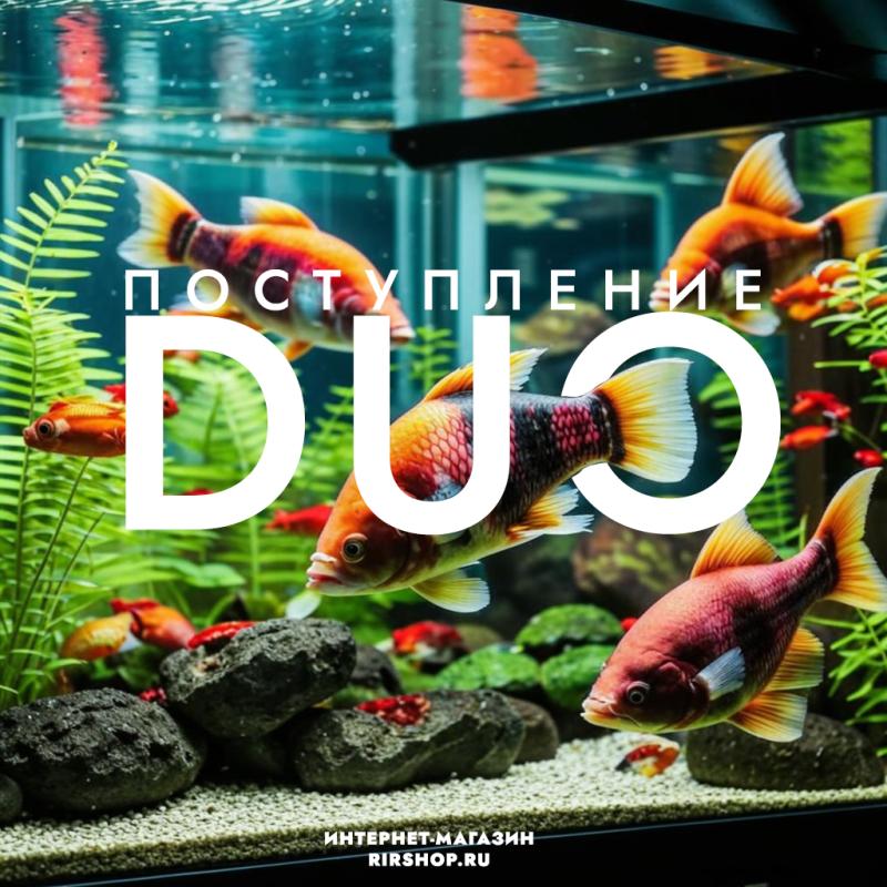 Поступление воблеров DUO!