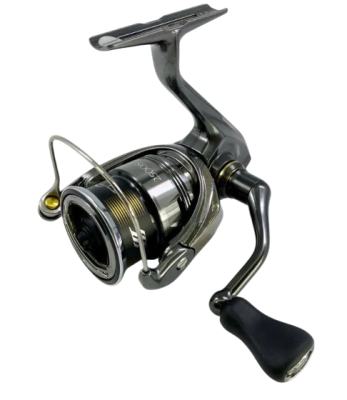 transparent-Photoroom (34)