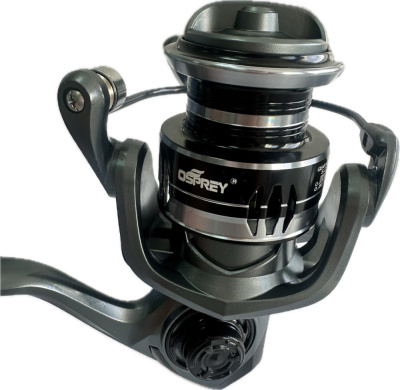 photo_2026-03-09_10-35-30