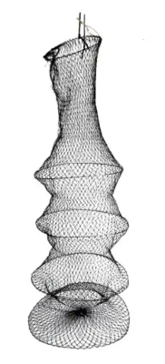 44