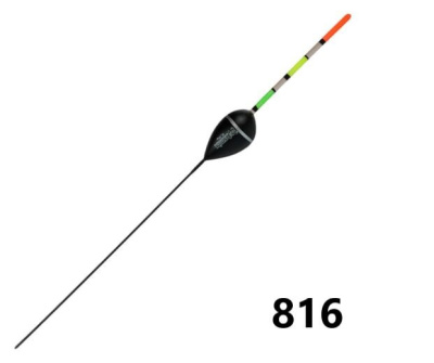 231